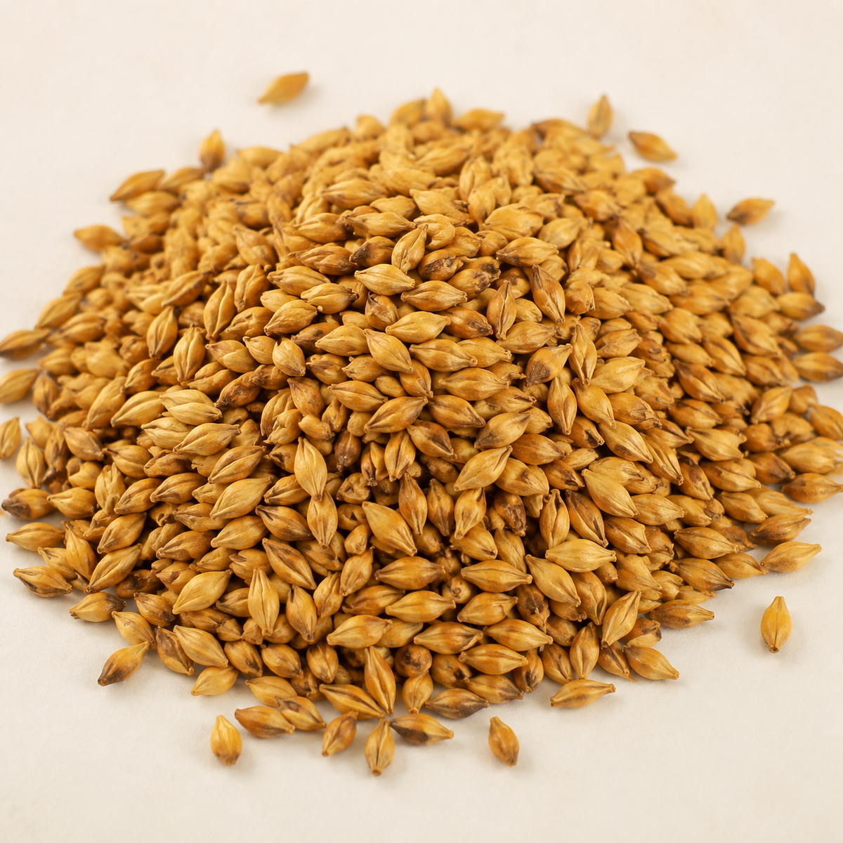Loose Vienna Malt Weyermann sold by the pound