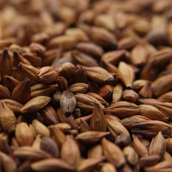 Caramunich III Malt Weyermann