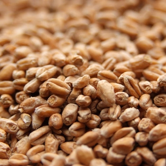 Pale Wheat Malt Weyermann