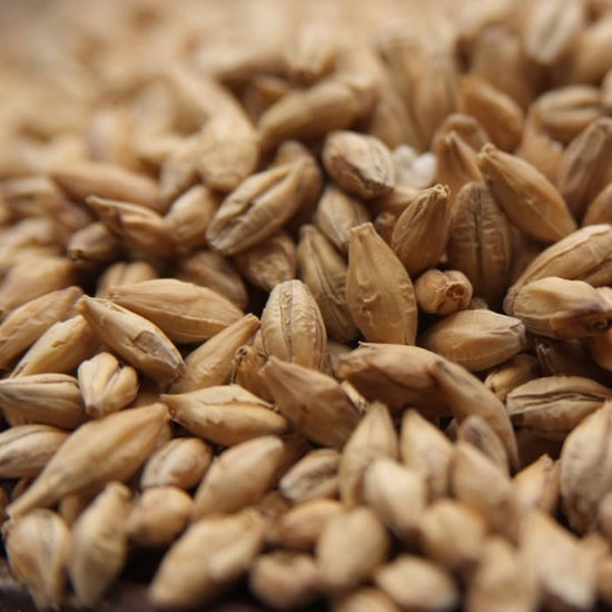 Pilsner Malt Weyermann