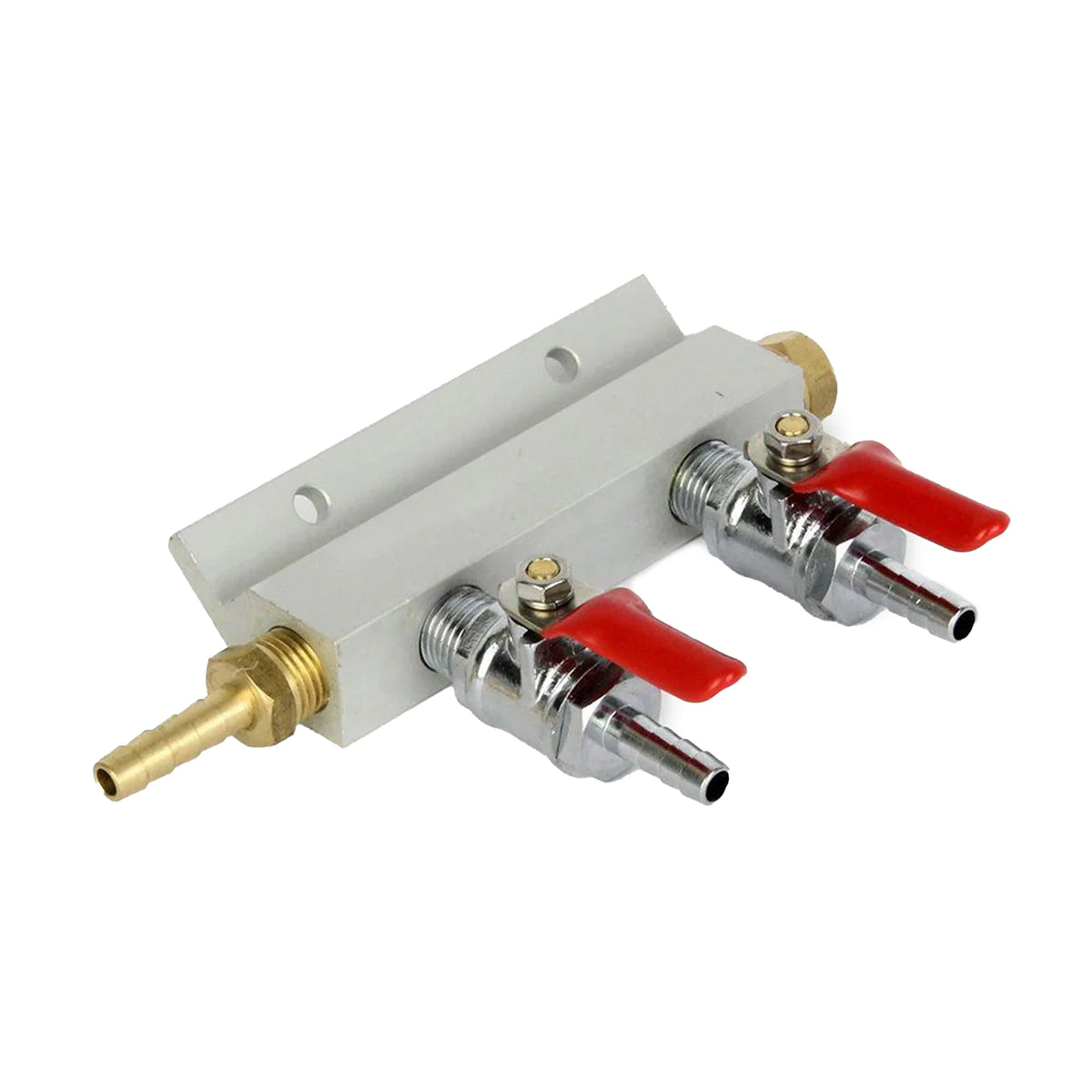 Manifold