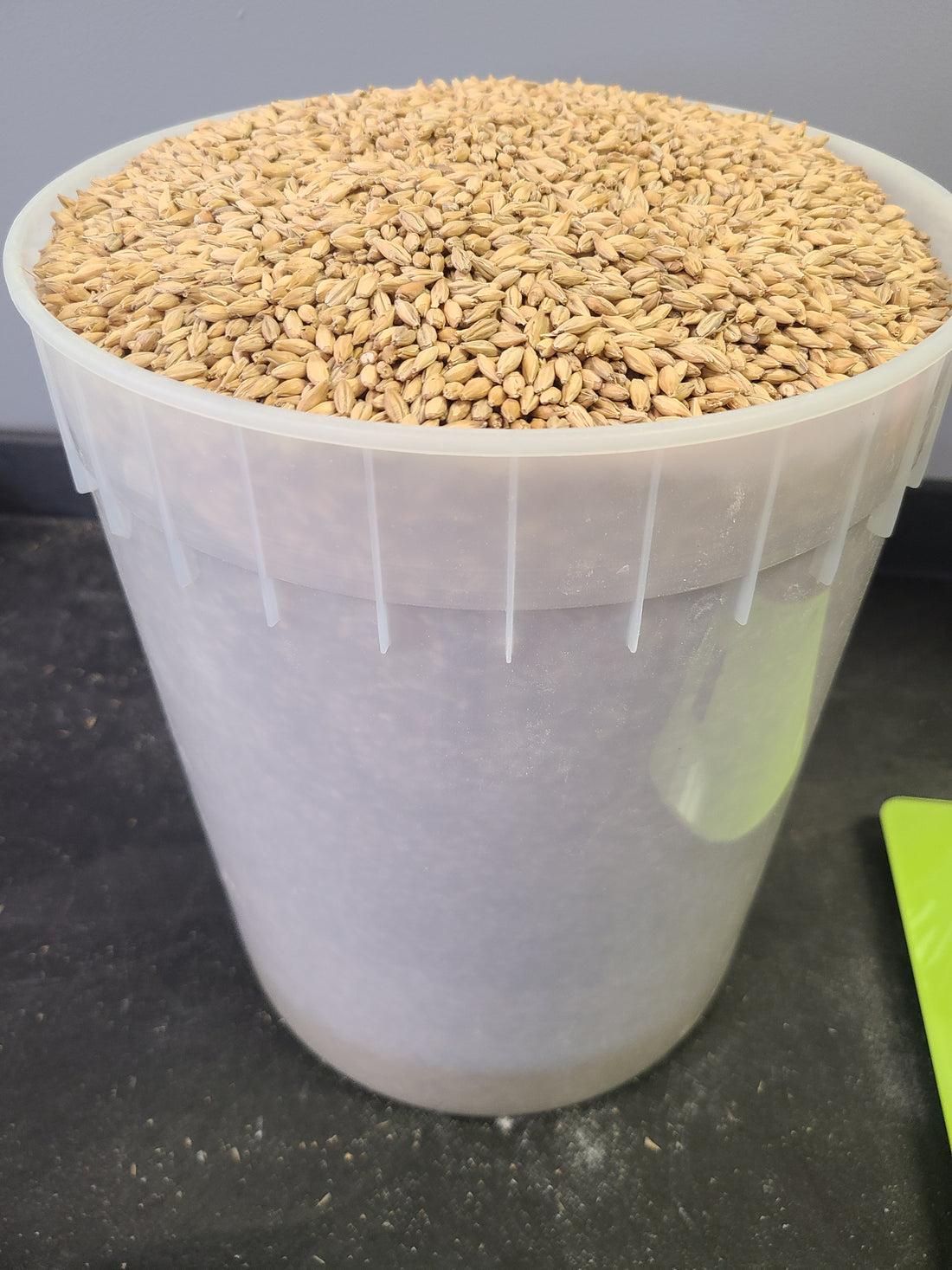 All Grain Brewing