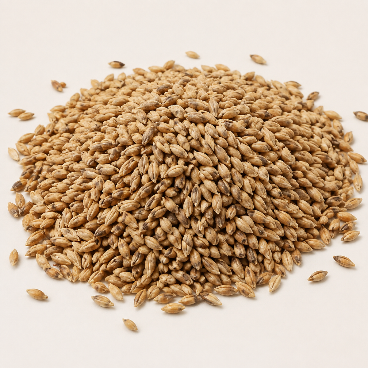 Loose Pale Rye Malt Weyermann sold by the pound