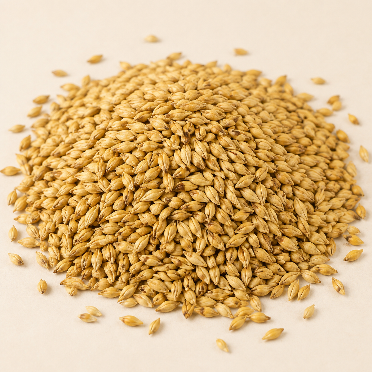 Loose Rahr 2 Row malt sold by the pound