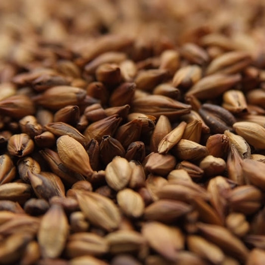 Caramunich II Malt Weyermann