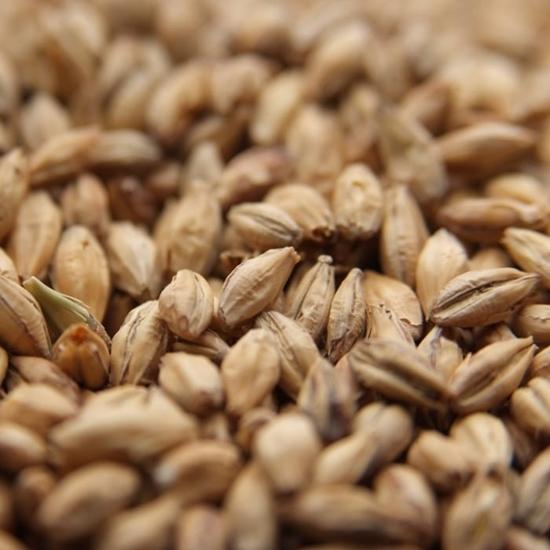 Pale Rye Malt Weyermann