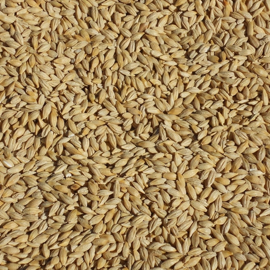 Honey Malt