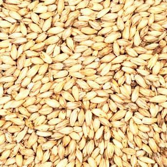 2 Row Malt Rahr