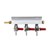 Manifold