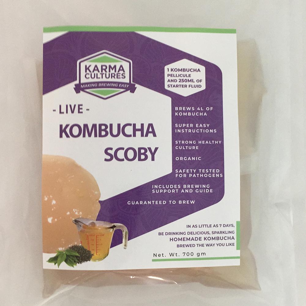 Mature Kombucha SCOBY