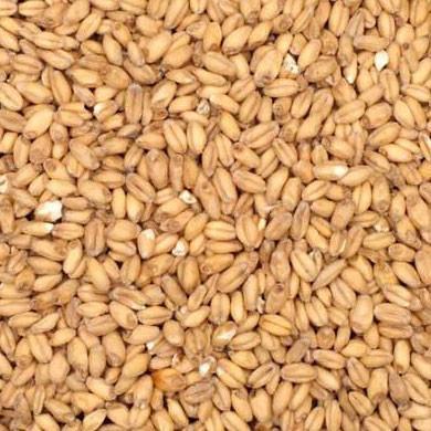 Wheat Malt OiO